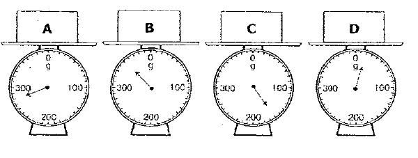 Primary 2 Maths Worksheet - Measurement Practice 1